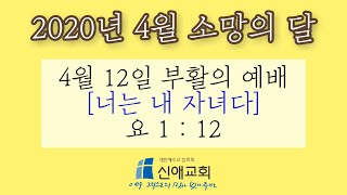 20200412 [너는 내 자녀다] 신애교회 주일 설교⛪️ | 영상예배 | 부활절예배 | 성찬예배