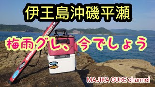 【磯グレ】梅雨グレ真っ只中、伊王島沖磯、タケちゃん好調❗、粘れミッチー❗