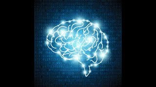 Successful Aging & Your Brain On Demand