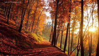 🌙 "MAUVE - Like a Dream (Chill Vibes & Ethereal Beats)" 🎶✨
