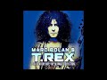 marc bolan u0026 t. rex i love to boogie