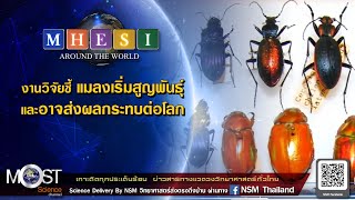 MHESI Around The World ตอน แมลงเริ่มสูญพันธุ์และอาจส่งผลกระทบต่อโลก