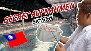 👁Skyfish Secret Insights | Die größte Outdoor Shrimpfarm der Welt 🌍