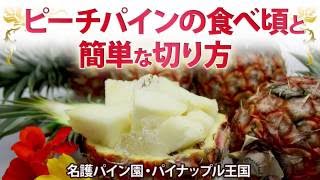 ピーチパインの食べ頃と簡単な切り方【沖縄パイナップル王国】