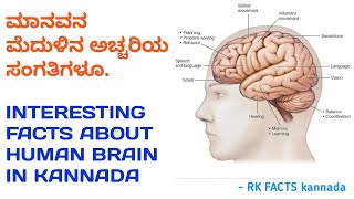 || ಮಾನವನ ಮೆದುಳಿನ ಕುರಿತು 10 ಇಂಟರೆಸ್ಟಿಂಗ್ ಫ್ಯಾಕ್ಟಗಳು | UNKNOWN​ INTERESTING FACTS ABOUT HUMAN BRAIN |