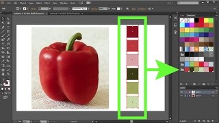 How to Create Custom Color Swatches in Adobe Illustrator