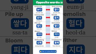 Korean Opposite Words: Expand Your Vocabulary! (늙다)👴 #learnkorean