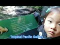 aquarium of the pacific 太平洋水族馆 episode 1 pacific visions wing 第一季 太平洋愿景翼