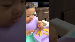 My baby’s 1st solid food 🍎 Baby led weaning Vs Traditional weaning #shorts #yazhini #meal