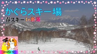 かぐらスキー場 in新潟 スノボー⇒パパ　ショートスキー⇒ママ