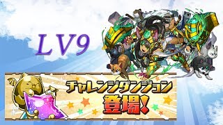 パズドラ【第４７回チャレンジダンジョンLV9】　転生バステト