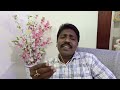 தினம் ஒரு பாடல் உத்தமமாய் முன்செல்ல vincy bright ep 6