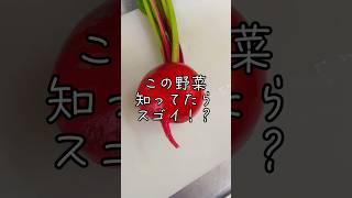 この野菜知ってたらスゴイ！？中身見てみて👨‍🍳知ってたらコメント欄で教えてね#山梨洋食 #レストランニューポート #山梨グルメ