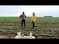 video in chickpea field june 2021