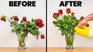 This One Trick Keeps Cut Flowers Fresh for Weeks
