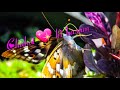 chahat ki kasam status songs