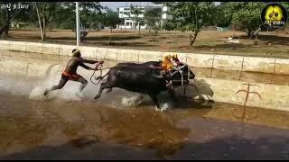 Team Bolara, Kolake Irvatturu Kudhi Kambala At Moodabidri | 22-December-2021 | Namma Kambala