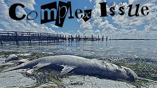 "NoFlo" - Complex Issue