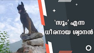 സൂം എന്ന ധീരനായ ശ്വാനൻ | Indian Army's assault dog Zoom | SAMUDRA VISION | KOLLAM