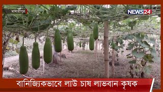 মাদারীপুরে বানিজ্যিকভাবে লাউ চাষ করে লাভবান কৃষকরা 3Jan.21| Madaripur