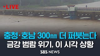 이 시각 하천 CCTV, 충남·호남 300㎜ 더 퍼붓는다.. 금강, 갑천 등 '극한호우'에 범람 직전 위기 / SBS