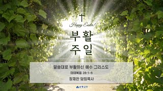 말씀대로 부활하신 예수 그리스도 | 마태복음 28:1~6 | 장재찬 담임목사 | 주일예배 | 23.04.09 | 장충교회