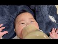 【ミルクまでもう少し😫いい飲みっぷりの赤ちゃん！】2歳＆0歳7ヶ月 japanese baby