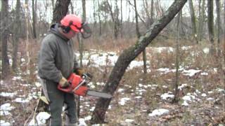 Drop A Small Diameter Leaner Without It Splitting And Making A Barber Chair