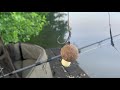 margin fishing for big carp