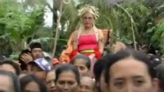 Atraksi Arak Arakan Penganten Using & Lagu [OFFICIAL]