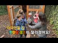 [세상만사] 코로나가 일깨운 뒷마당 닭 사육 / YTN