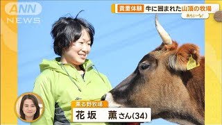 標高700m！山の上の絶景で牧場体験　ここだけの搾りたて牛乳＆特別料理【あらいーな】【あらいーな】【グッド！モーニング】(2024年3月8日)