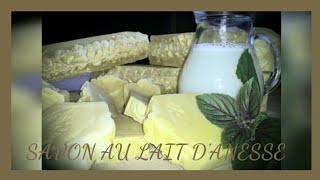 SAVON AU LAIT D'ÂNESSE...RECETTE...Pour tout problème de peau...🐴