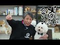 【犬 しつけ】愛犬が唸るのを直すにはどうしたらいいの？