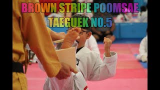 BROWN STRIPE BELT POOMSAE TAEGUEK NO.5 - JEON'S TKD