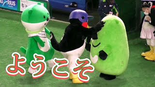 2021/11/23 つば九郎達がミドすけ＆バビすけを歓迎する動画