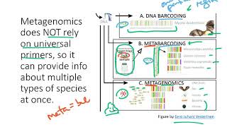 BIO178 Week 3 Species Metagenomics