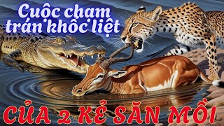 Cuộc trạm chán khốc liệt của 2 kẻ săn mồi.