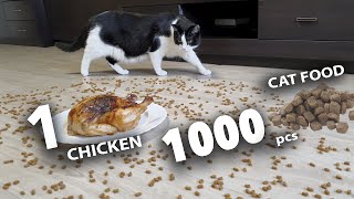 1000 pieces of cat food or 1 chicken?