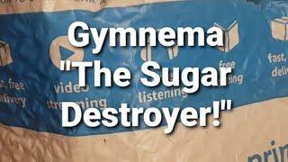 Gymnema-The Sugar Destroyer!💪@lifespanwellnessbeauty-60i64