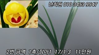 1월 18일 무명과 명명품 입실하세요 ^^