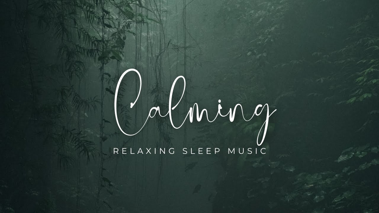Deep Sleeping Music Relaxing Music Stress Relief Meditation Music