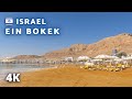 [4K] SUNRISE at EIN BOKEK | ISRAEL