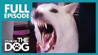 Monster German Shepherd: Ben | Full Episode | It's Me or the Dog