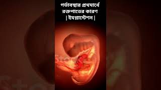 গর্ভাবস্থার প্রথমার্ধে রক্তপাতের কারণ | why blood bleeding during pregnancy #রক্তপাত #গর্ভবতী #blood