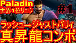 スト6 ストリートファイター6　世界1位 Paladin リュウ 01