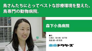 鳥さんたちにとってベストな診療環境を整えた 鳥専門の動物病院 ─ 森下小鳥病院（寄崎 まりを 院長）