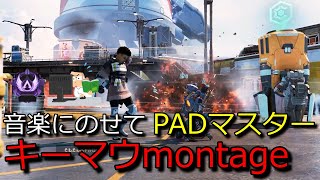 【Apex】PADマスターのキーマウ初心者クリップだよー【APEX LEGENDS】