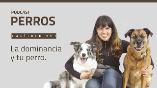 Capítulo 113. La dominancia y tu perro