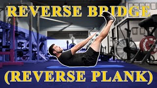 Reverse Bridge (Reverse Plank) - Tutorial